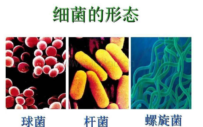 微信图片_20220114203135.png